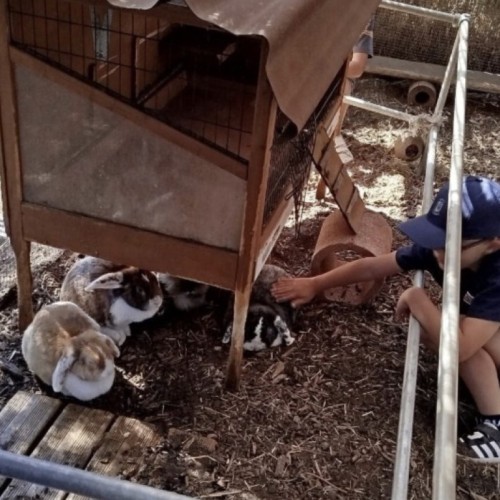 Une ferme pédagogique dans un jardin enchanté au Pradet
