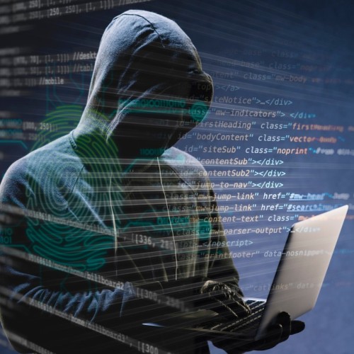 La cybersécurité, un enjeu majeur pour les petites entreprises provençales