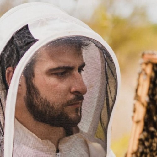 Un apiculteur aventurier passe à Toulouse