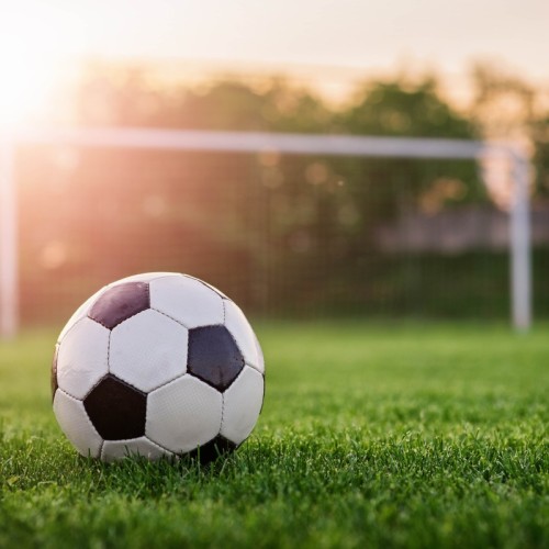 L’agenda sportif du 22 et 23 novembre à Rouen