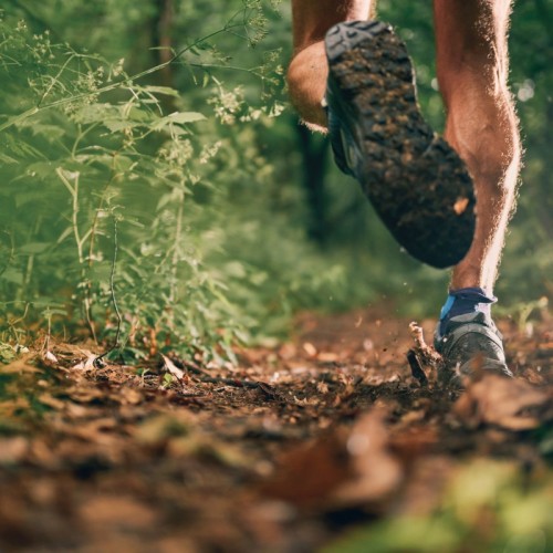 L'agenda sportif du 15 et 16 novembre à Clermont-Ferrand