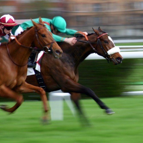 Coup d’envoi du Meeting d’hiver à l’hippodrome 