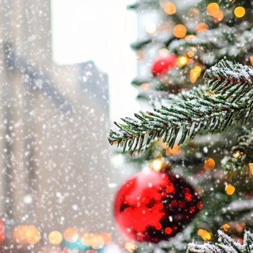 Le grand sapin de Noël arrive à Clermont-Ferrand