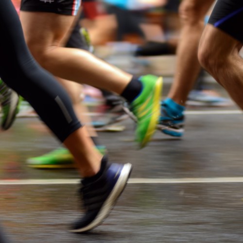 L'agenda sportif 