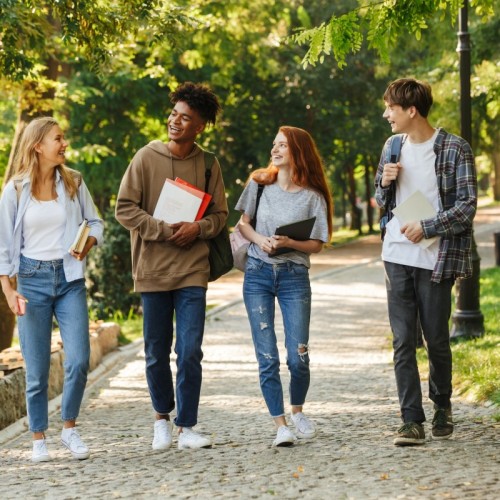 Une nuit dédiée à l'orientation ️