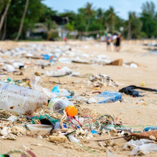Pollution plastique : à Rennes, une conférence explique comment agir pour la réduire