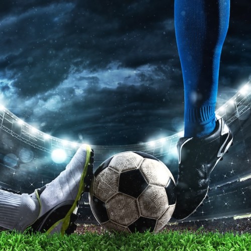 L'agenda sportif en métropole de ces samedi 15 et dimanche 16 novembre