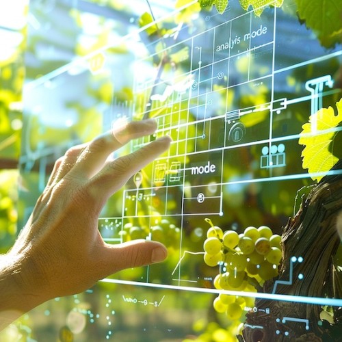 Vinackathon 2025 : le digital au service des vignerons d’Occitanie