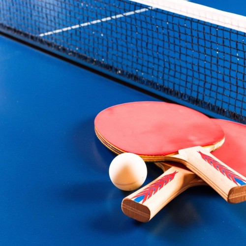 L'Agenda sportif du 8 et 9 novembre à Rouen