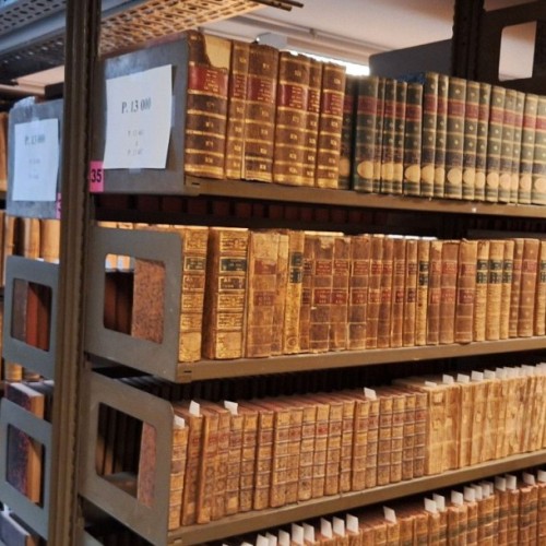Plongée dans les réserves de la bibliothèque du Périgord 