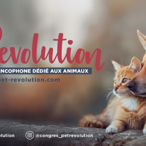La Pet Revolution, un congrès animalier unique en France