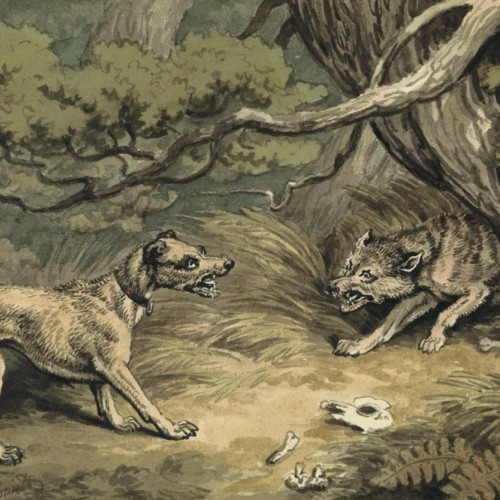 La domestication animale, toute une histoire