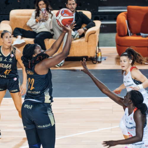 L'agenda sportif en métropole de ces samedi 29 et dimanche 30 novembre