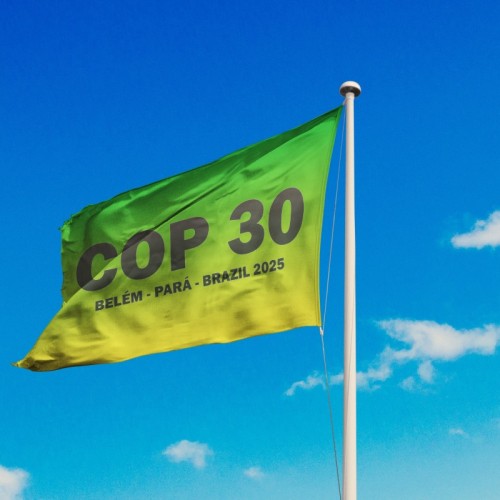 COP30 : comprendre, agir, espérer 