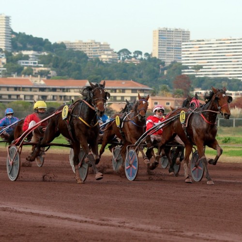 Borély : 165 ans de courses de chevaux à Marseille