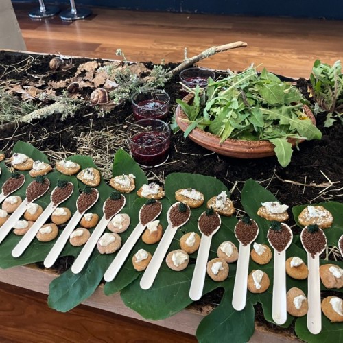Une conférence et un repas sur la cuisine gréco-romaine à Marseille