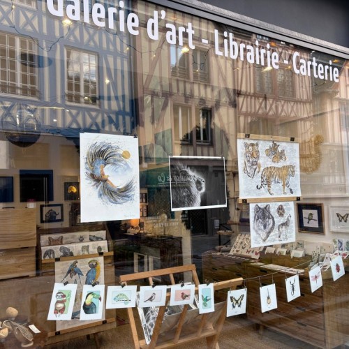 Une galerie-librairie dédiée à la nature à Rouen