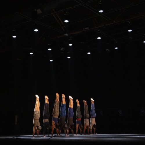 Près de Rennes, la Nuit du Cirque célèbre la vitalité et diversité de cet art