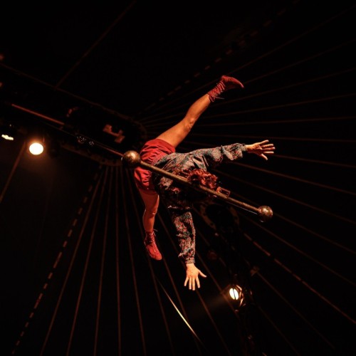 Participez à la nuit du cirque à côté de Toulon