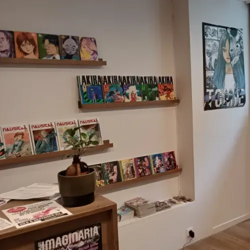 Une librairie 100 % dédiée aux mangas à Rouen