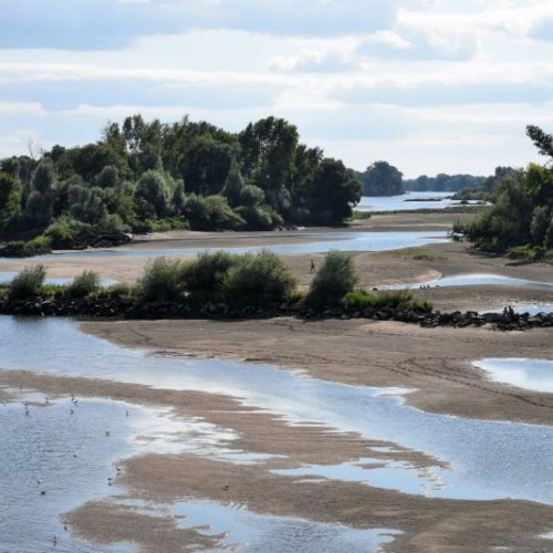 La baignade dans la Loire plébiscitée près de Nantes