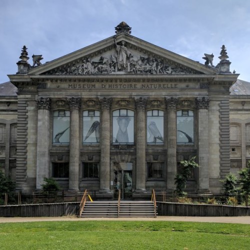 Une nouvelle ère pour le Muséum d'histoire naturelle à Nantes
