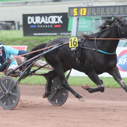 Le Grand National du Trot en piste à Nantes