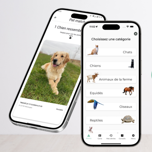 Lost'Him, une application mobile pour retrouver les animaux perdus