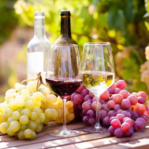 Le salon Aux Vignobles investit le Parc des Expositions à Nantes