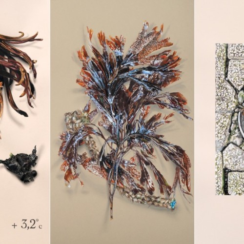 Nouvelle exposition engagée à Bordeaux