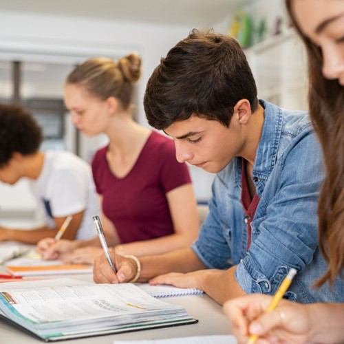 Une journée pour trouver son stage de seconde près de Rouen