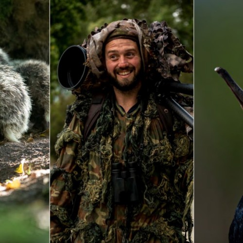 Une exposition photo sur les animaux mal-aimés à Bordeaux