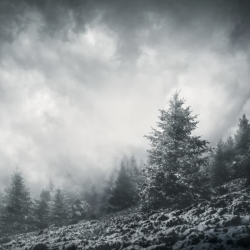 Une exposition photo sur nos paysages auvergnats à Clermont-Ferrand