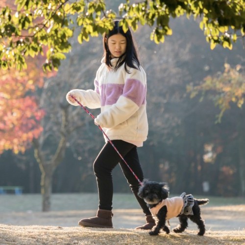 PlayDogs : l'application pour trouver des balades à faire avec son chien