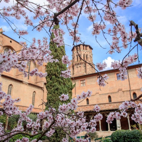 À Toulouse, le musée des Augustins rouvre ses portes ️