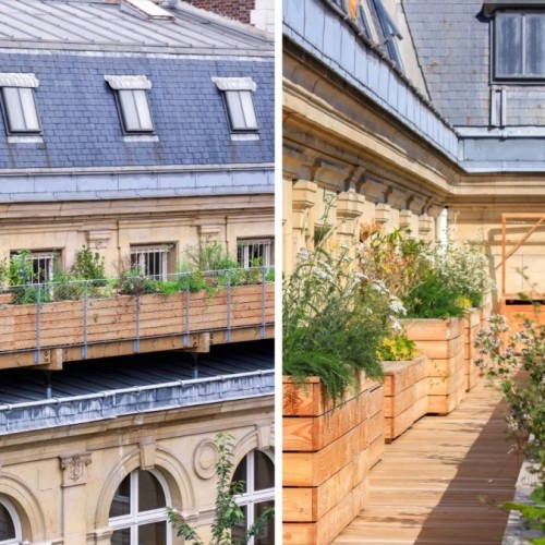 Roofscapes, la startup qui adapte les toits aux enjeux climatiques 