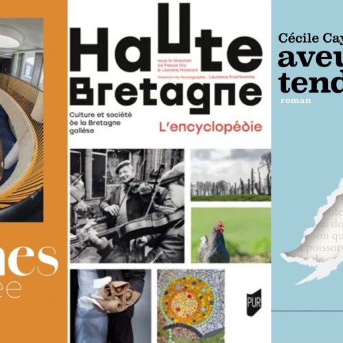 Noël 2025 : 3 idées de livres en lien avec Rennes à offrir à vos proches