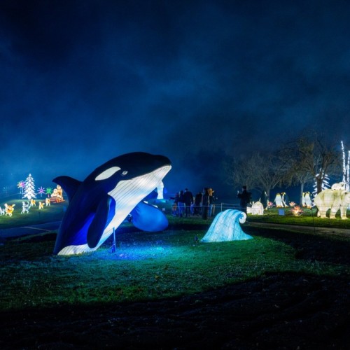 Une balade lumineuse pour l'hiver au Parc Floral à Paris