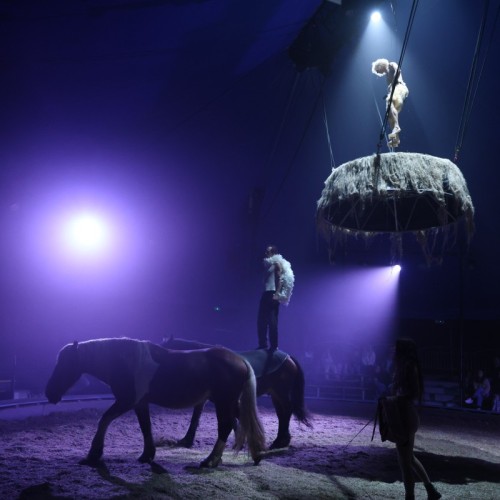 Le cirque, tous ensemble 