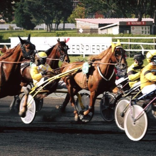 C'est la course (de chevaux) à Marcq-en-Barœul