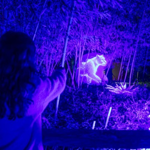 Les parcs animaliers s'illuminent pour les fêtes près de Nantes