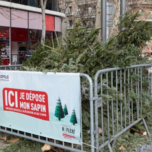 Que faire de ses déchets après les fêtes ? 