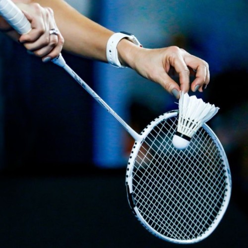 L'agenda sportif grenoblois (12,13 et 14 decembre 2025)