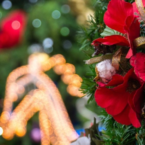 Près de Grenoble : Noël débarque à Neyrpic 