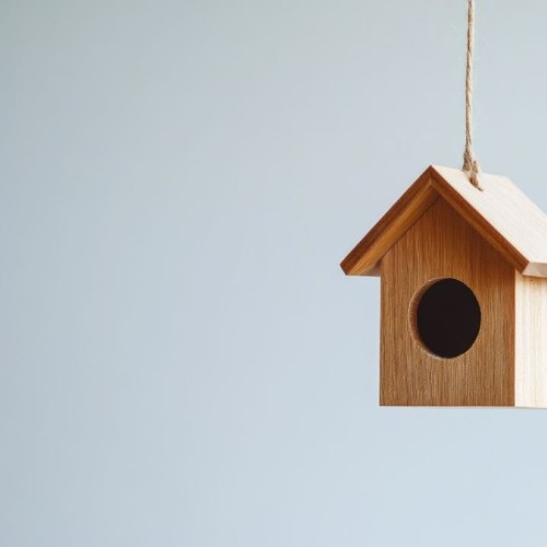 Près de Grenoble : À la rencontre de la biodiversité urbaine