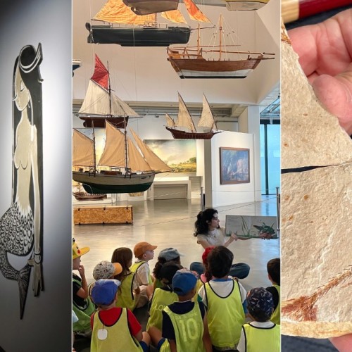 Musée Mer Marine de Bordeaux : un atelier sur les animaux marins