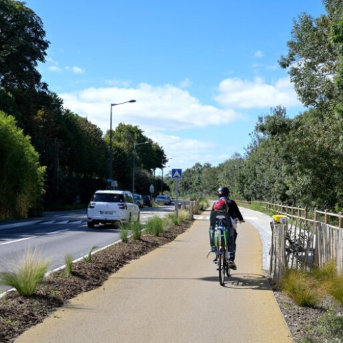 Cure de jouvence pour le boulevard des Pas Enchantés 