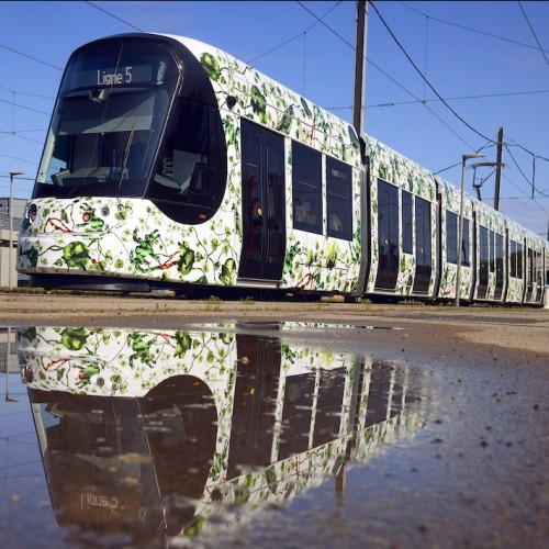 Ligne 5 de tramway : Une fresque avant l'inauguration