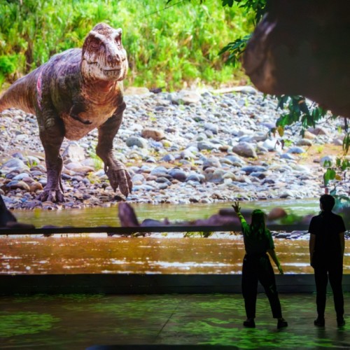 Les dinosaures prennent vie à l'Atelier des lumières à Paris