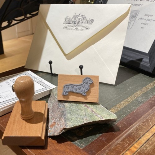 Rencontre avec Lauren Easum, illustratrice et fondatrice d'Ex-Libris Paris